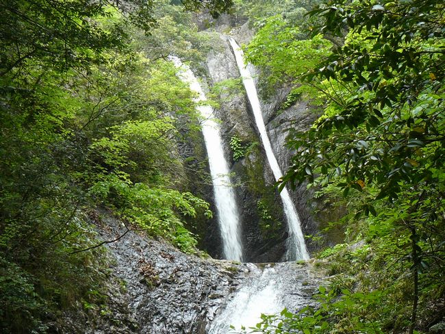 �R������E�߃P��