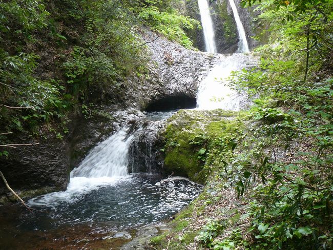 �R������E�߃P��