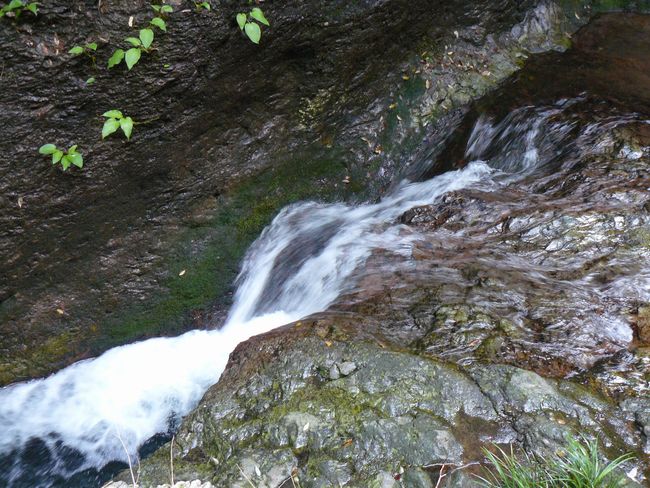 �R������E�߃P��