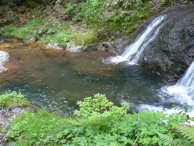 �R������E�߃P��