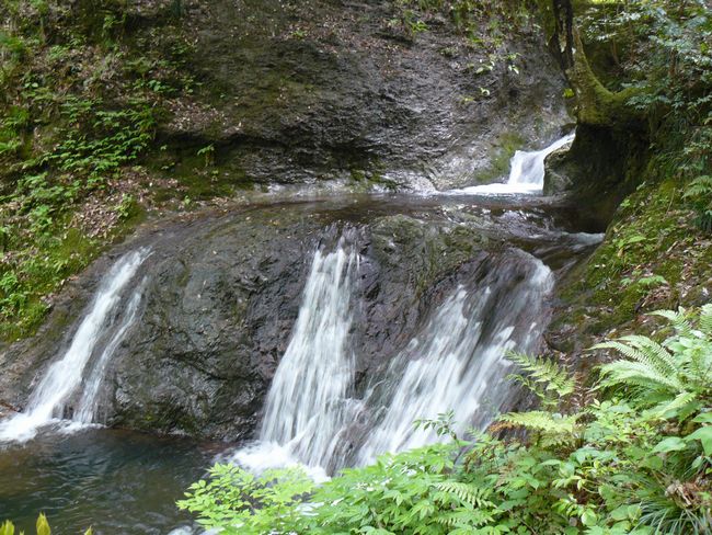 �R������E�߃P��