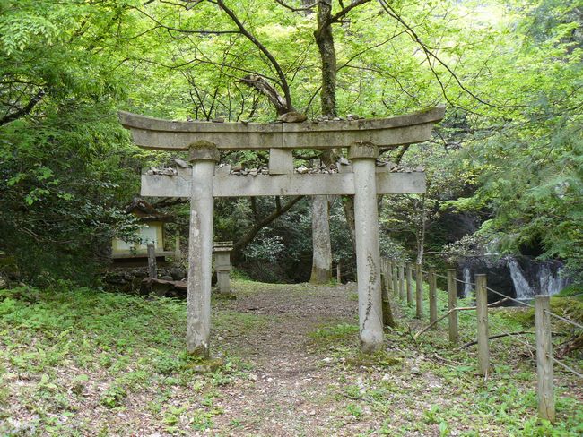 �R������E�߃P��