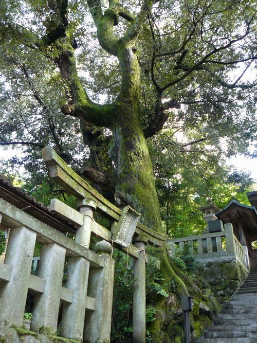 �R�㉷��E�����_��