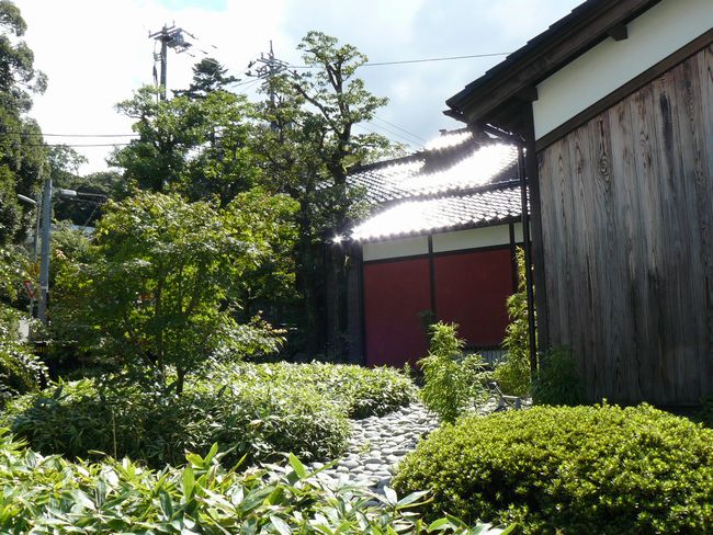 �R�㉷��E�D�R�l������