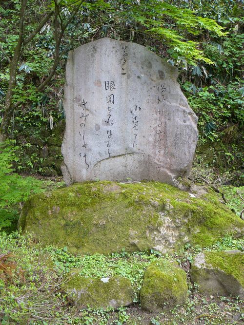 �|�v����̔�